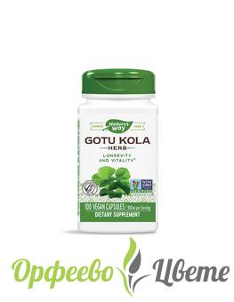 ХРАНИТЕЛНИ ДОБАВКИ Вени и хемороиди Gotu Kola Herb/ Готу Кола (билка) 475 mg x 100 капсули